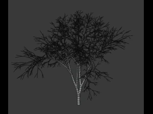 tree collection 3D Model