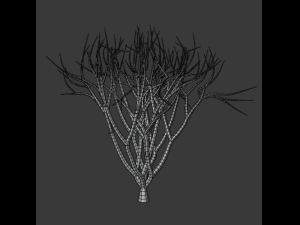 tree collection 3Dモデル