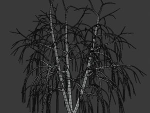 tree collection 3Dモデル