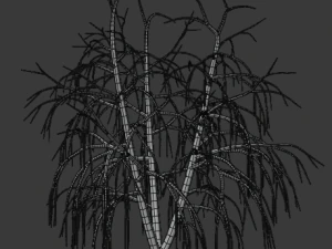 tree collection 3D Model
