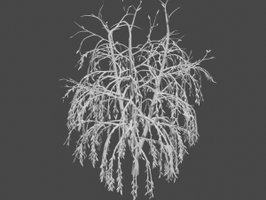 tree collection 3Dモデル