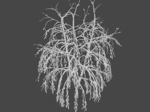 tree collection 3D Model