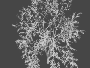 tree collection 3D Model