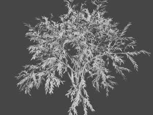 tree collection 3D Model
