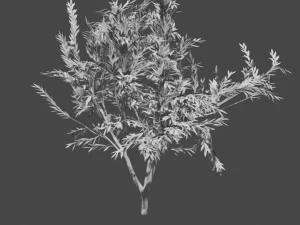 tree collection 3D Model