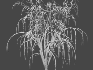 tree collection 3D Model