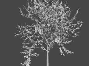 tree collection 3D Model