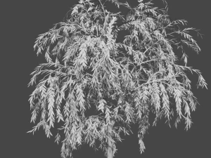 tree collection 3D Model