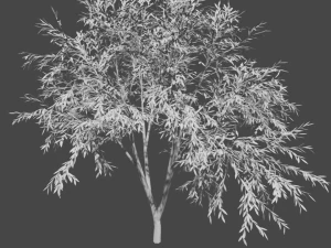 tree collection 3D Model
