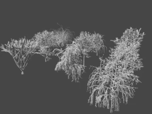 tree collection 3D Model