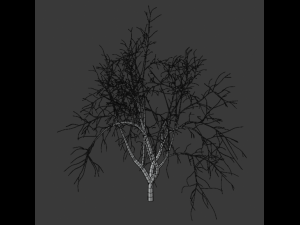 tree collection 3Dモデル