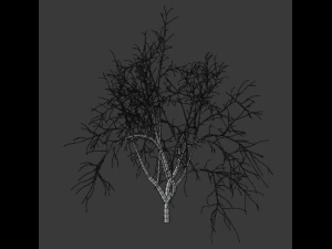 tree collection 3D Model