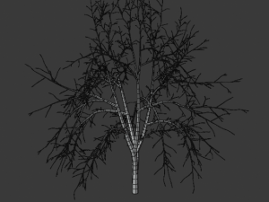 tree collection 3Dモデル