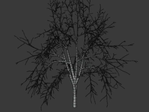 tree collection 3D Model