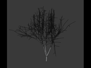 tree collection 3Dモデル