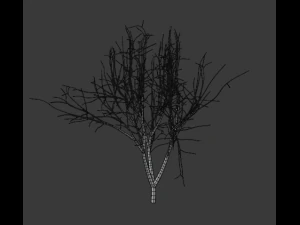tree collection 3D Model
