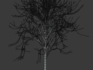 tree collection 3D Model