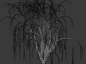 tree collection 3Dモデル