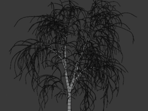 tree collection 3Dモデル