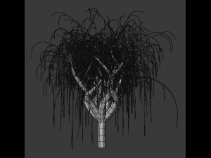 tree collection 3Dモデル