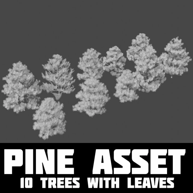 pine asset 3D Model .c4d .max .obj .3ds .fbx .stl .blend 