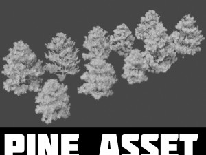 pine asset 3D 모델