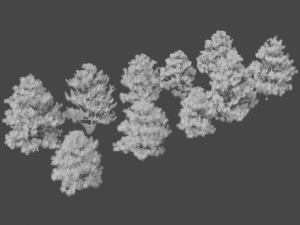 pine asset Modello 3D