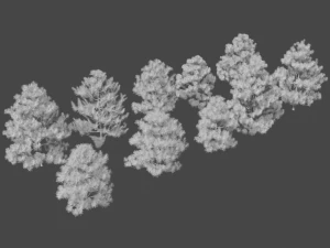 pine asset 3D Model