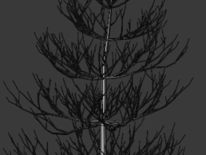 pine asset 3D Model