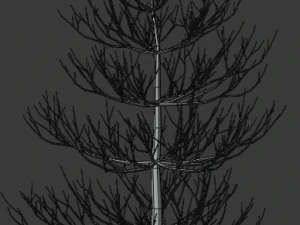 pine asset 3D Model