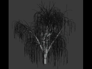 tree asset 3 3D Model