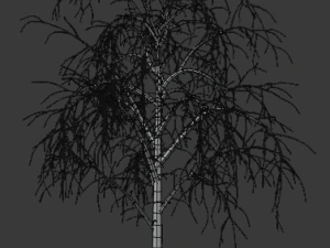 tree asset 3 3D Model