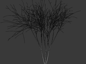 tree asset 3 3D Model