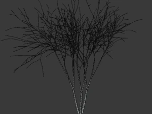 tree asset 3 3D Model