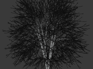 tree asset 3 3D Model