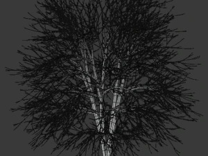 tree asset 3 3D Model