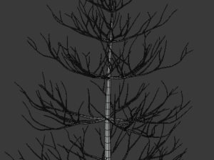 tree asset 3 3D Model