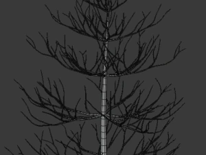 tree asset 3 3D Model