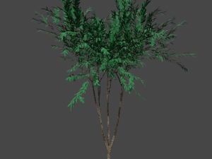 tree asset 3 3D Model