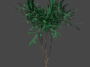 tree asset 3 3D Model