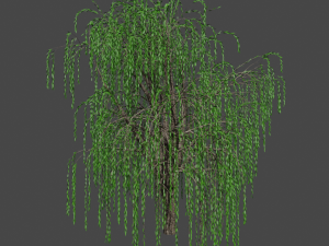 tree asset 3 3D Model