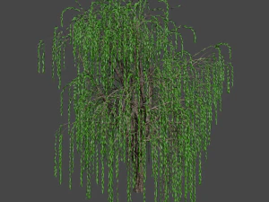 tree asset 3 3D Model