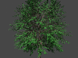 tree asset 3 3D Model