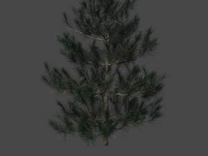 tree asset 3 3D Model