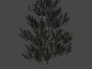 tree asset 3 3D Model