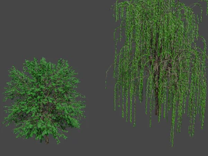 tree asset 3 3D Model
