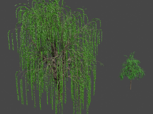 tree asset 3 3D Model