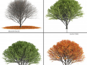 Maple Tree- Season Pack Modelo 3D