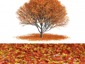 Maple Tree- Season Pack Modelo 3D