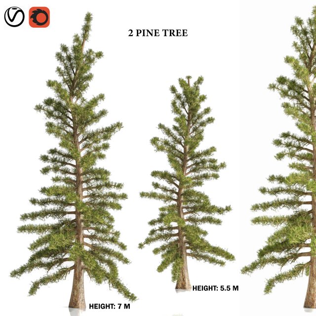 2 Pine Tree 3D Model .c4d .max .obj .3ds .fbx .stl .blend 